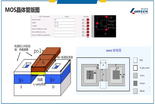 集成電路設計與驗證中級師資培訓圓滿落幕，計算機領域合作再啟新篇